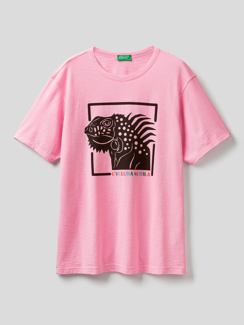 T-shirt en pur coton avec imprimé image number 1